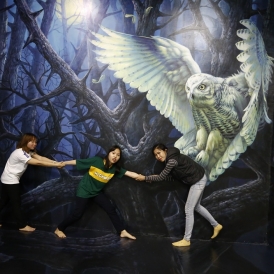 SAFARI ZONE - 3D Trick Art Museum